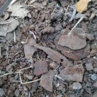 فروش شلاکه ورقه ای و شلاکه کلوخه ای