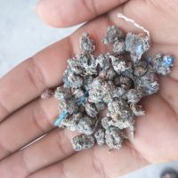 کندر گونی خالص