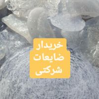 خریدار انواع مواد پلاستیک (شرکتی) کلوخه ورق آسیابی