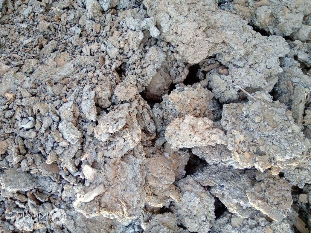 اشک برش پودر و درشت