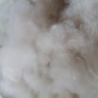 موکت حلاجی شده
