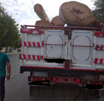 خرید انواع چوب