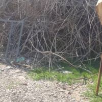 فروش میلگرد به صورت ضایعات