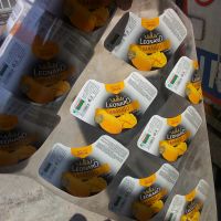 خریدار ضایعات رول پلی ستر