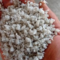 فروش کندر عسلی روشن
