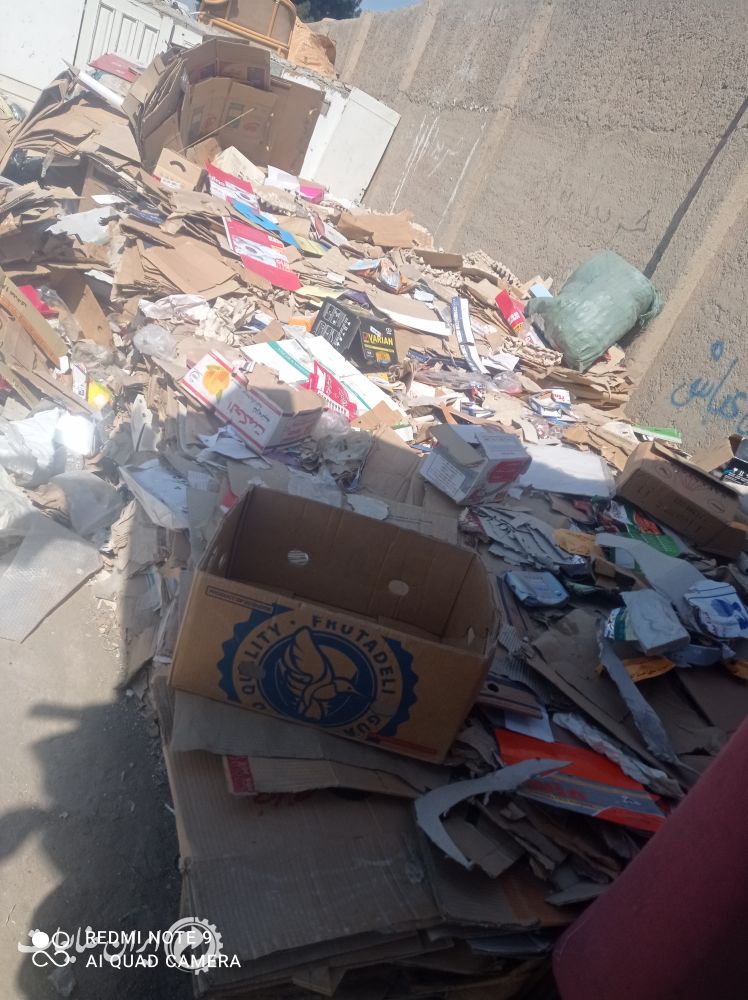 کارتون یک تن