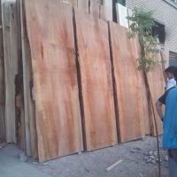 فروش چوب الوار توسکا و جنگلی