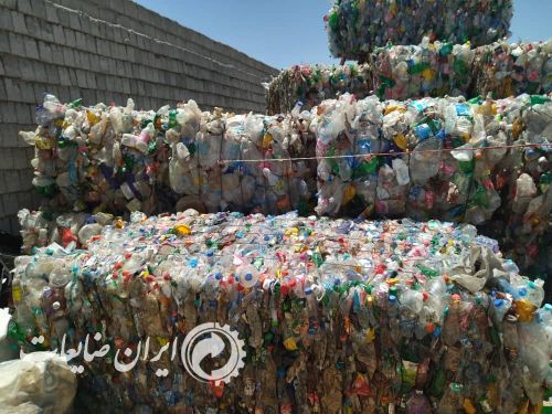 پت پرسی درجه یک