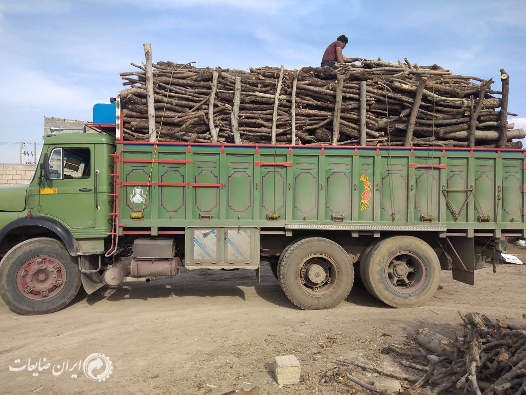 خرید عمده چوب هیزمی در سراسر ایران