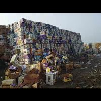 فروش عمده کارت موزی دست دوم باغداری