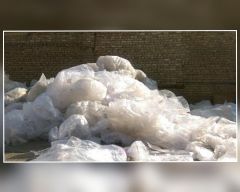 خرید نایلون زنده‌بار ( بازیافتی)