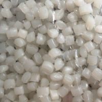 فروش گرانول بادی بیرنگ