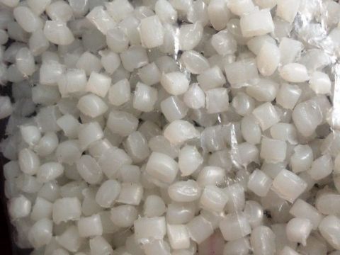 فروش گرانول بادی بیرنگ