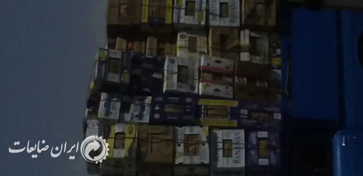 خریدسبدمیوه درهم وکارتن موزی دست