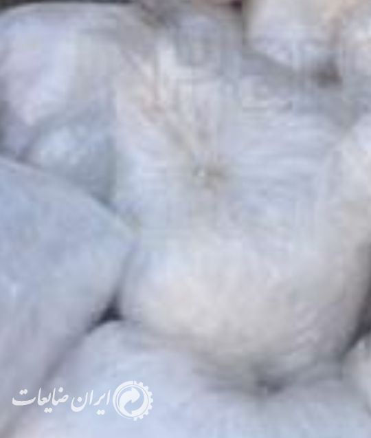 خریدار نایلون سفید پالتی