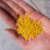 فروش گرانول بادی تک رنگ