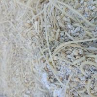 فروش پلی آمید شرکتی بیرنگ