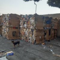 خرید کارتن پرس