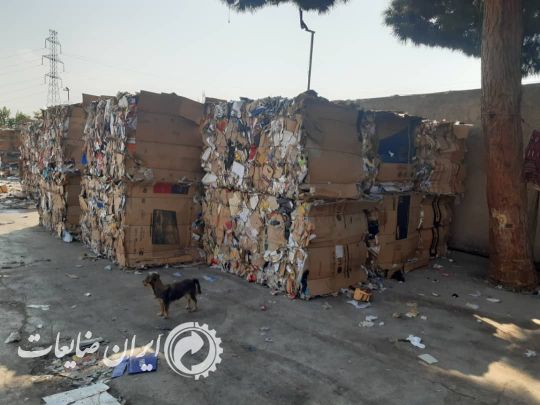 خرید کارتن پرس