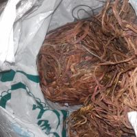 مس ذوبی و در هم