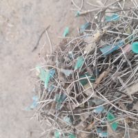 فروش سر امپول درجه ۱