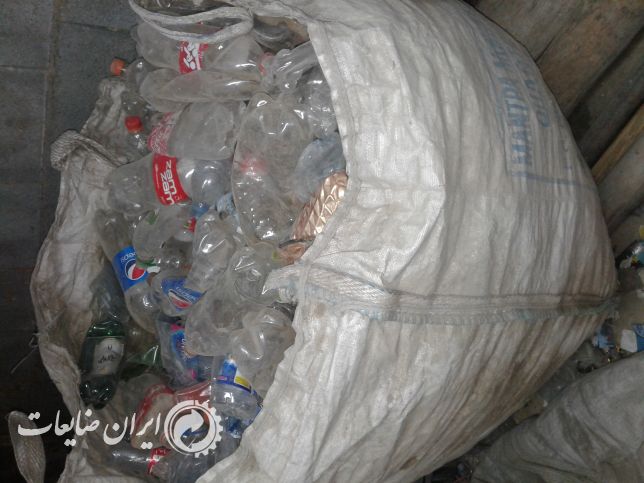 فروش پت زنده