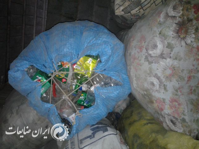 فروش پت زنده