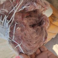 فروش کرک قالی