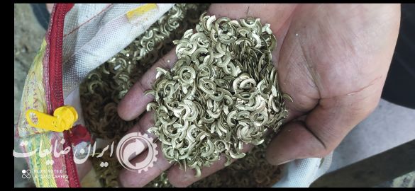 برنج زرد بار