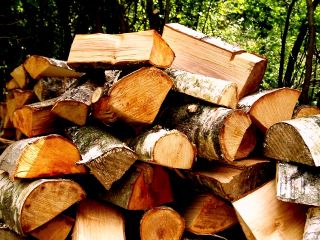 خرید انواع چوب الات جنگلی باغی