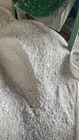 پالتی اسیابی