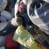 پلاستیک درهم