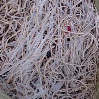 فروش ضایعات کش پلاستیکی