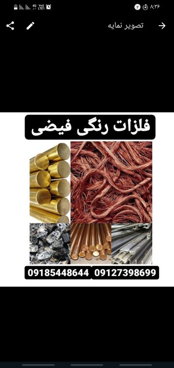 شاخه ظرفی مس برنج خشک و...