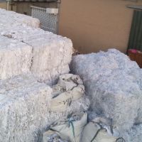 فروش کاغذ باطله فرم