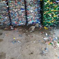 پت پرسی سفید بدون رنگی تمیز