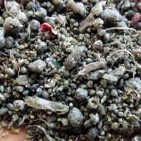 فروش مواد کندری نایلون رنگی ومشکی