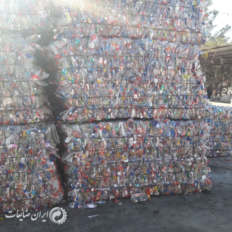پت پرسی سفید و رنگی و درهم از همه نقاط کشور