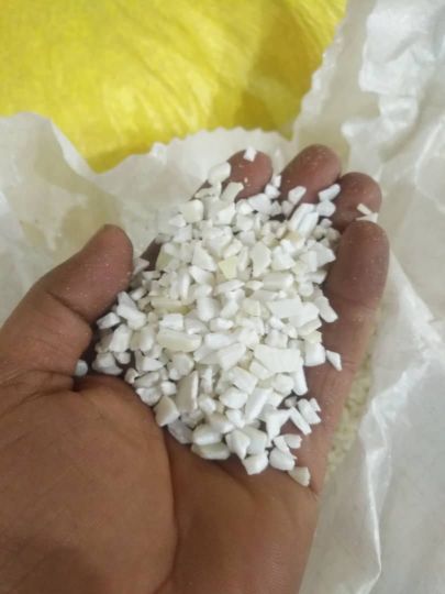 خرید‌ ضایعات‌ پلاستیک‌ همه‌ نو‌ع‌ زنده‌ و‌ اسیا