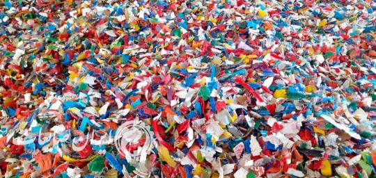 خرید‌ ضایعات‌ پلاستیک‌ همه‌ نو‌ع‌ زنده‌ و‌ اسیا