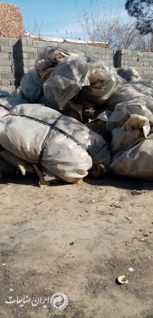 فروش مشما گلخانه سفید