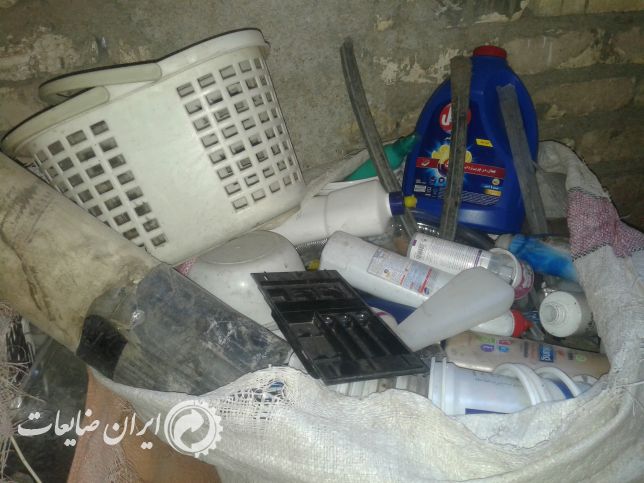 فروش لاک زنده