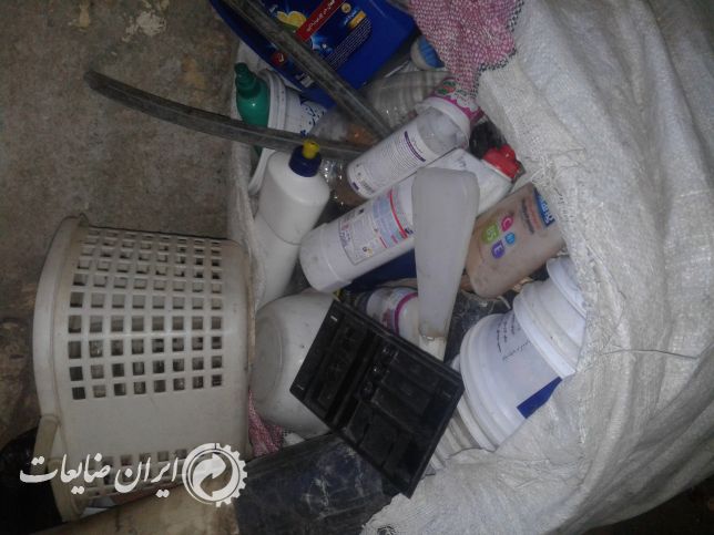 فروش لاک زنده