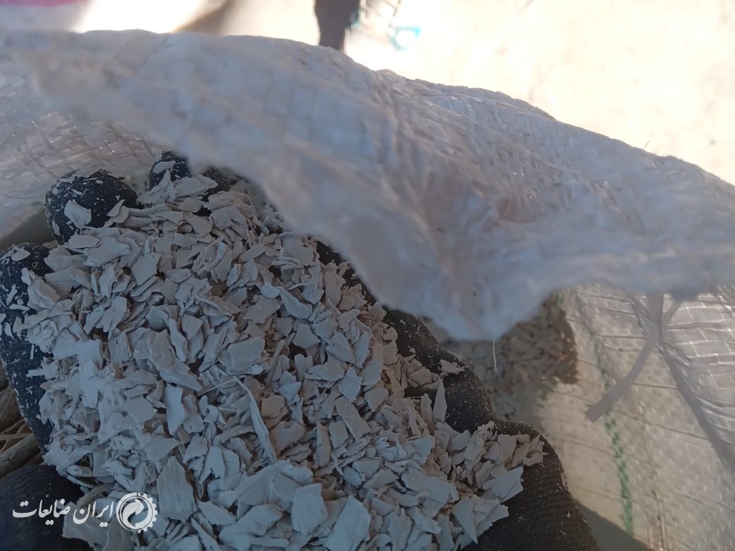 Abs سفید آسیایی