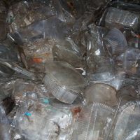 فروش ظروف یکبارمصرف پی وی سی