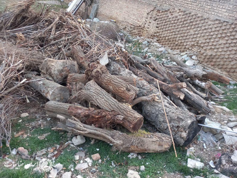 ضایعات چوب خشک