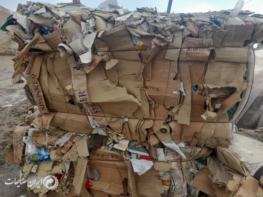 فروش‌ کارتن‌ پرسی