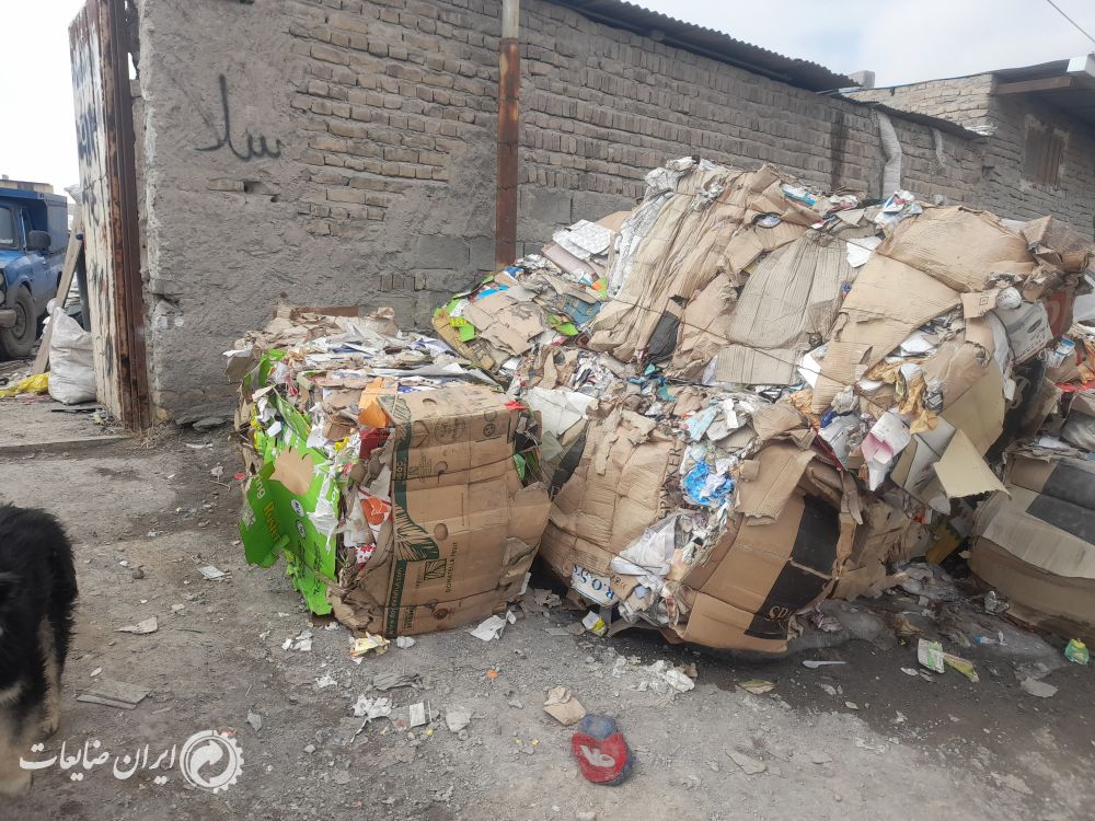 فروش‌ کارتن‌ پرسی