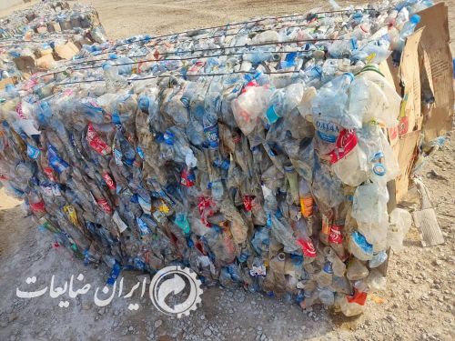 پت پرسی شهری