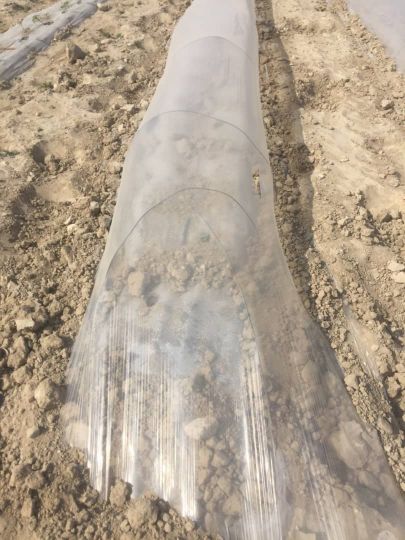 صد تن نایلون کشاورزی